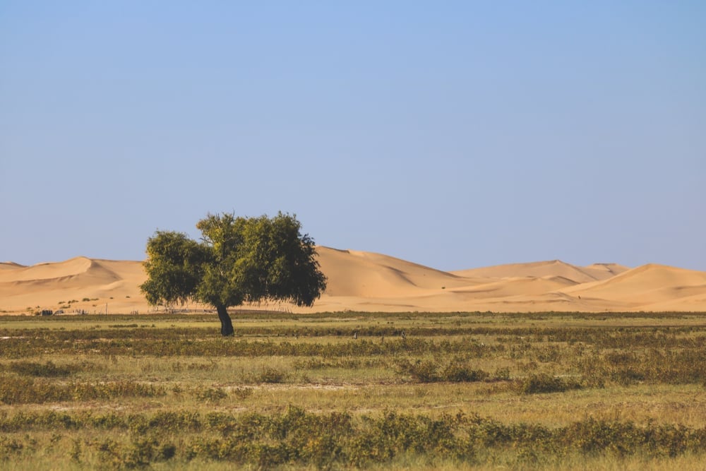 Inner Mongolia Kubuqi Desert National Park(HelloRF Zcool)s