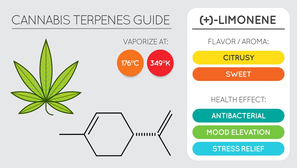 Cannabis,Terpene,Guide,Information,Chart.,Aroma,And,Flavor,With,Health