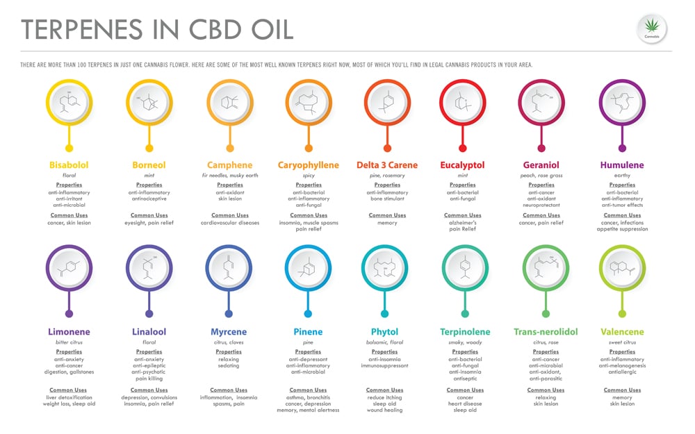 Terpenes,In,Cbd,Oil,With,Structural,Formulas,Horizontal,Business,Infographic