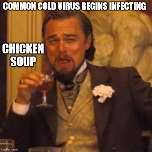 COMMON COLD VIRUS BEGINS INFECTING meme