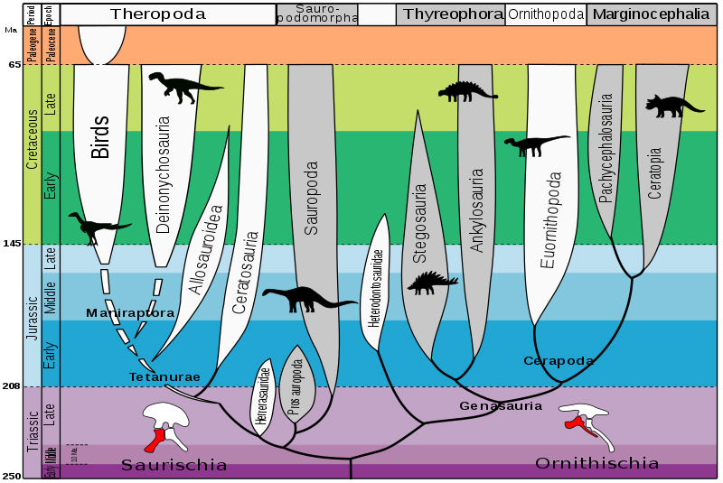 Evolution of dinosaurs