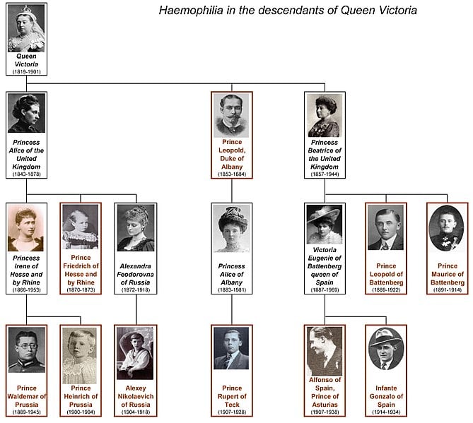 Haemophilia of Queen Victoria