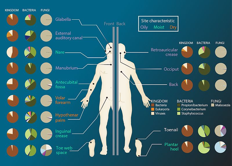 Microbiome Sites