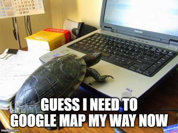 Se apenas o Google Maps fosse amigável para tartarugas.
