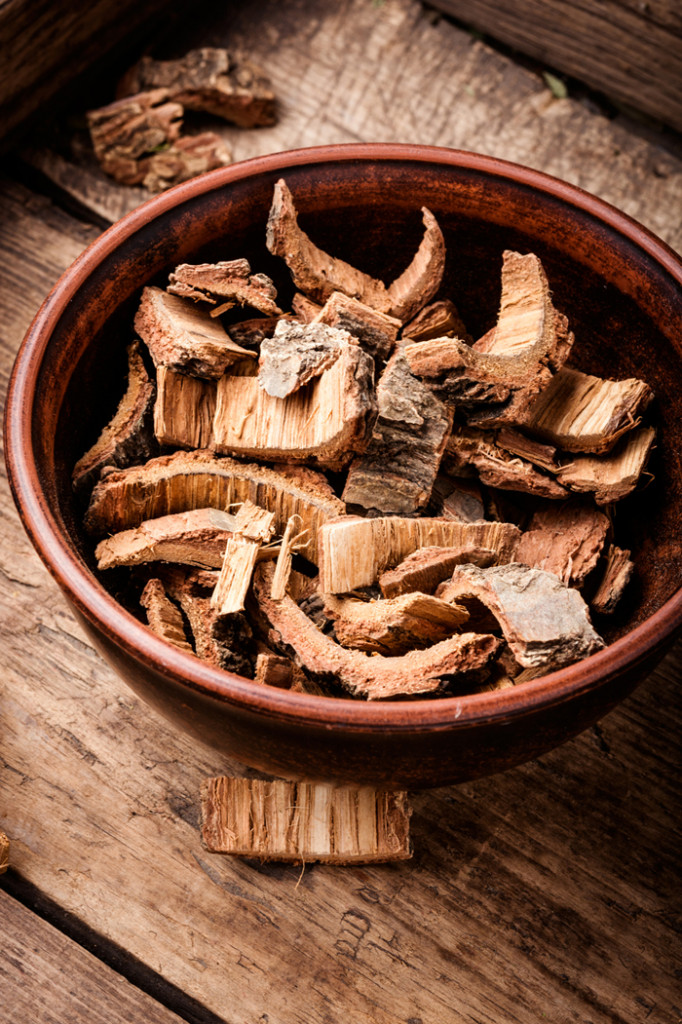 dry-oak-bark