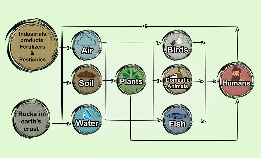 Diagram,Showing,Sources,Of,Heavy,Metals,And,Their,Cycling