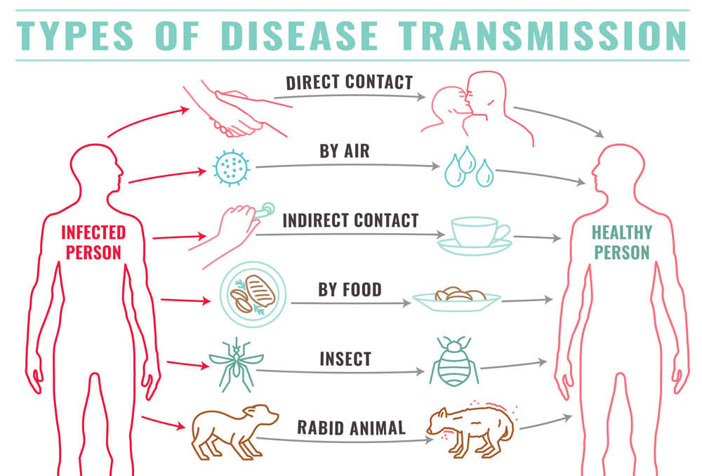 Disease Transmission Hot Sex Picture