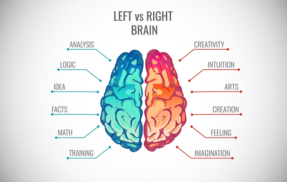 Conceito de cérebro humano esquerdo e direito.  Parte criativa e parte lógica com ilustração vetorial de infográficos sociais e empresariais