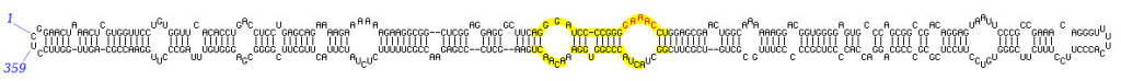 PSTviroid