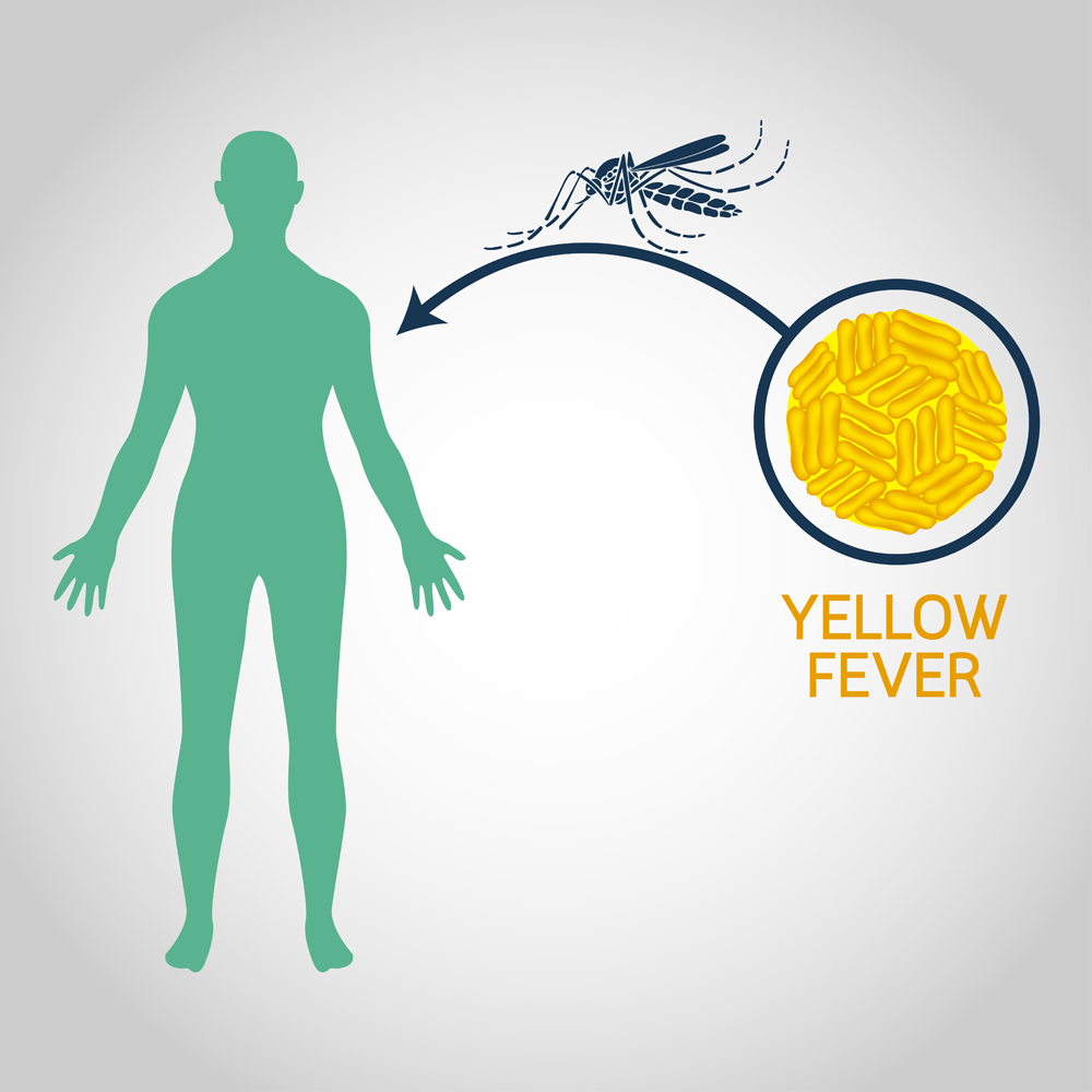 Yellow,Fever,Vector,Logo,Icon,Illustration