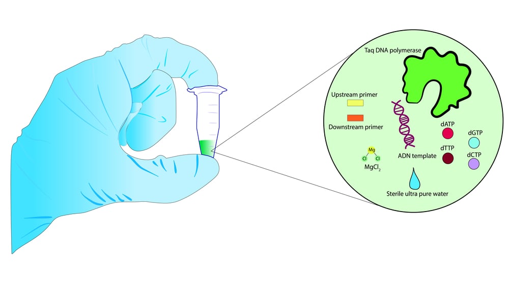 Illustration,About,The,Components,Of,A,Pcr,Master,Mix,Used