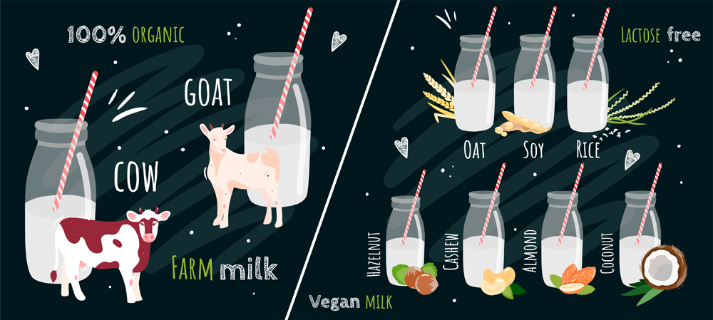 Comparison of different types of milk. Cow and goat milk vs vegan milk: soy, rice, oatmeal, coconut, cashew, hazelnuts, almonds. Lactose free. Farm product. Vector illustration isolated on black.