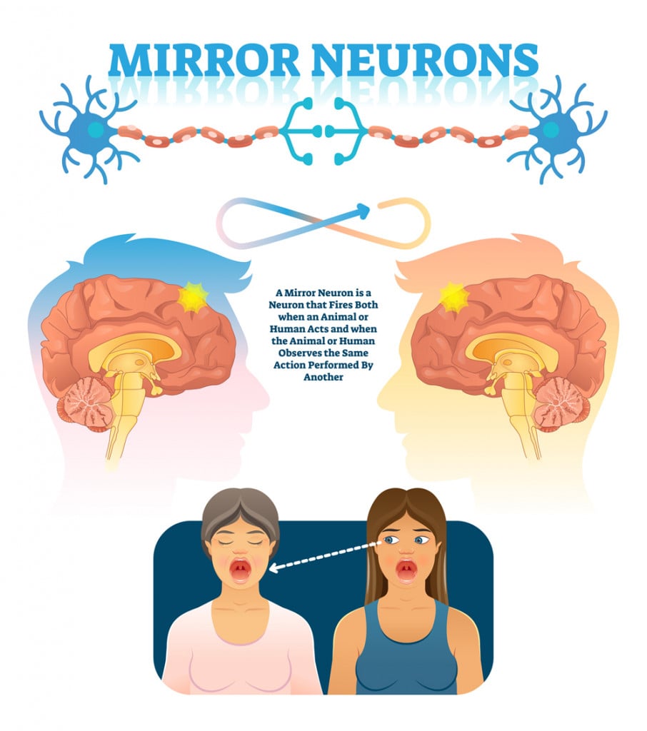 Ilustração em vetor de neurônios de espelho