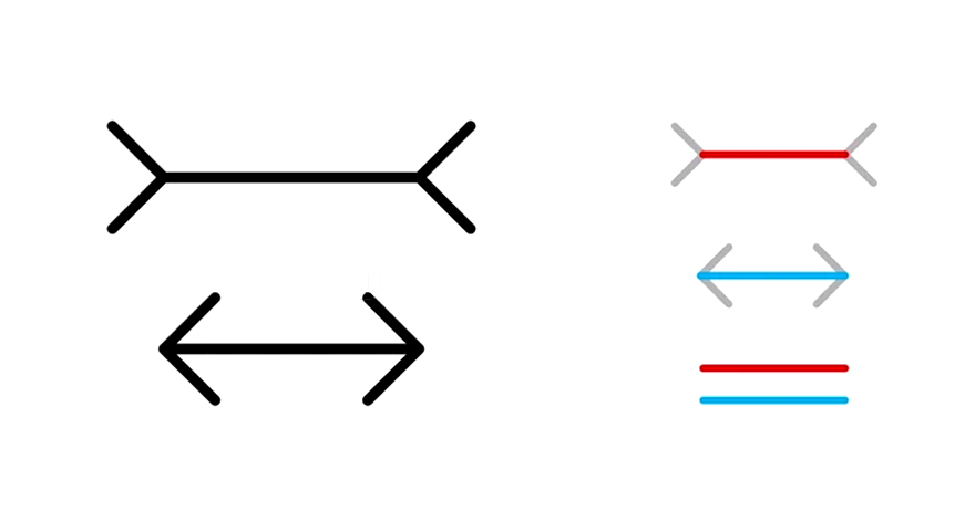 Muller-Lyer optical illusion