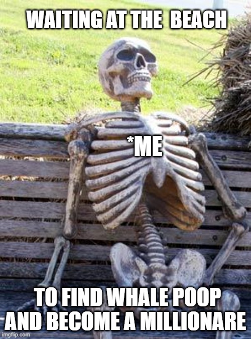 WAITING AT THE BEACH meme