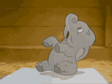 bebê elefante espirrando