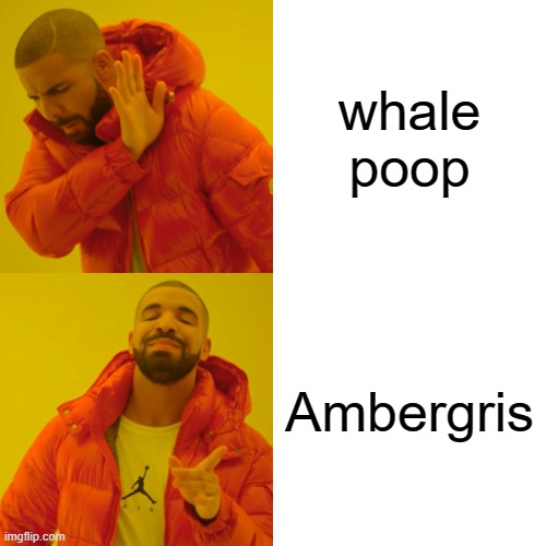 whale poop meme