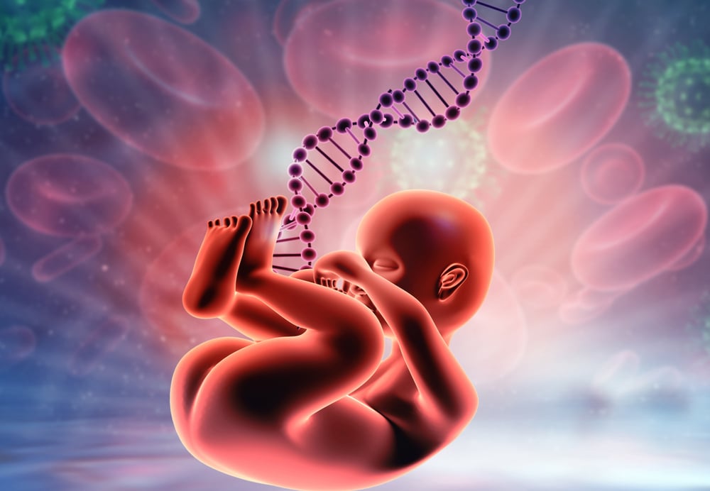 Fetus,With,Dna,On,Medical,Background.,3d,Illustration