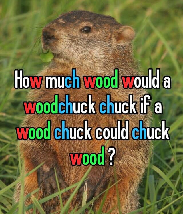 The woodchuck tongue twister