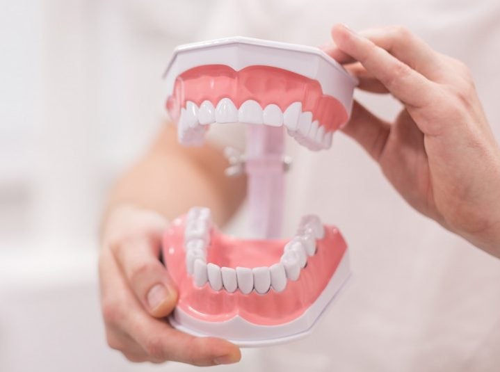 background-dental-dentist-denture-doctor-equipment-fake-hold-holding-hygiene-jaw-medical-medicine_t20_6lLX3v
