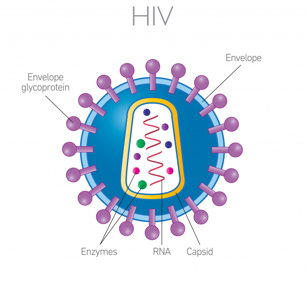 -hiv-aids-causado-por-humano