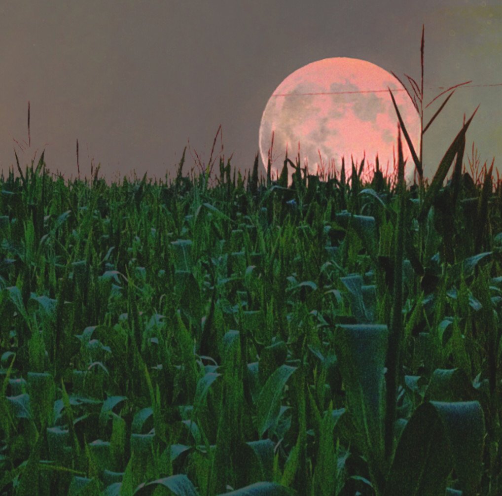 supermoon-corn-on-the-side_t20_A2w9lr