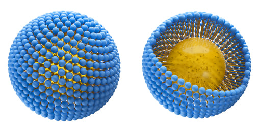 3-D Illustrated colloid structure external view & internal view