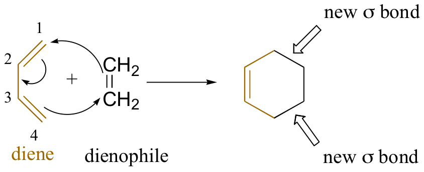 Diels-Alder reaction between buta-1,3-diene and ethene