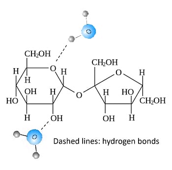 H-ligação entre açúcar e água
