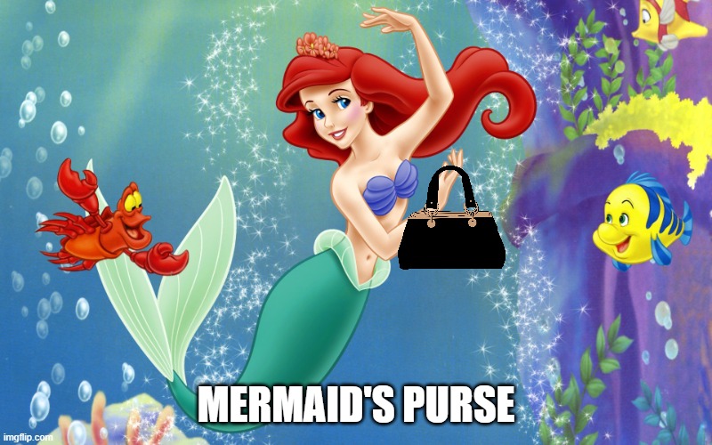 MERMAID'S PURSE meme