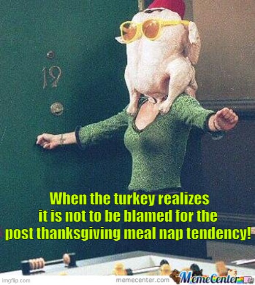 When the turkey realizes it is not to be blamed for the post thanksgiving meal nap tendency