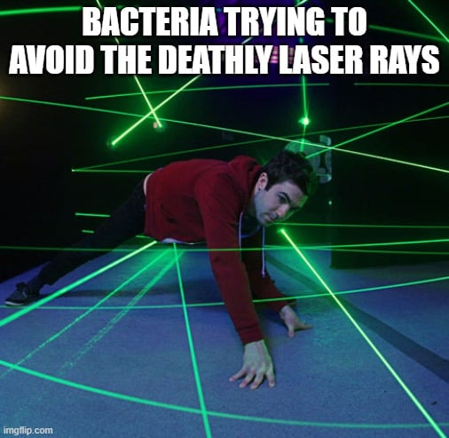 bacteria avoid to meme