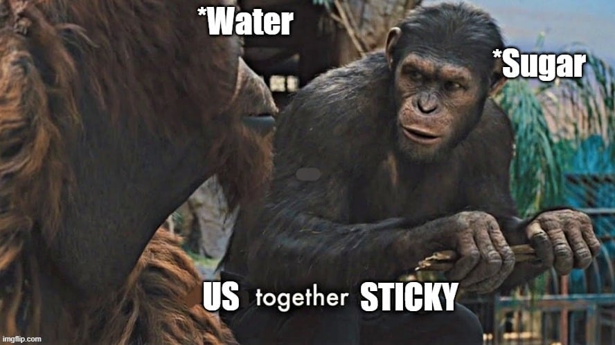 water sugar meme