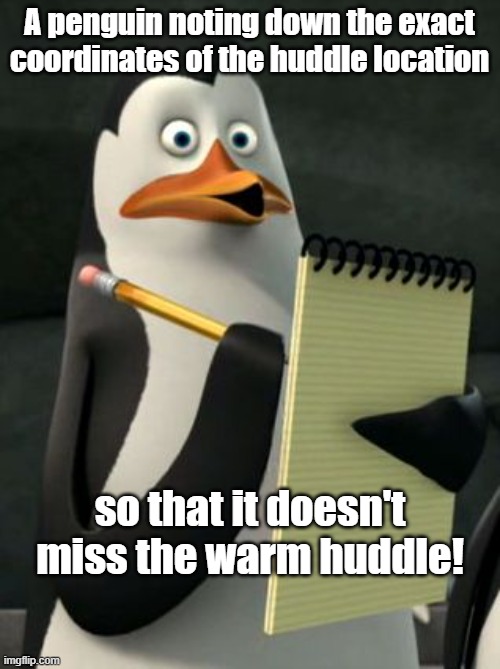 A penguin noting down the exact coordinates of the huddle locatio