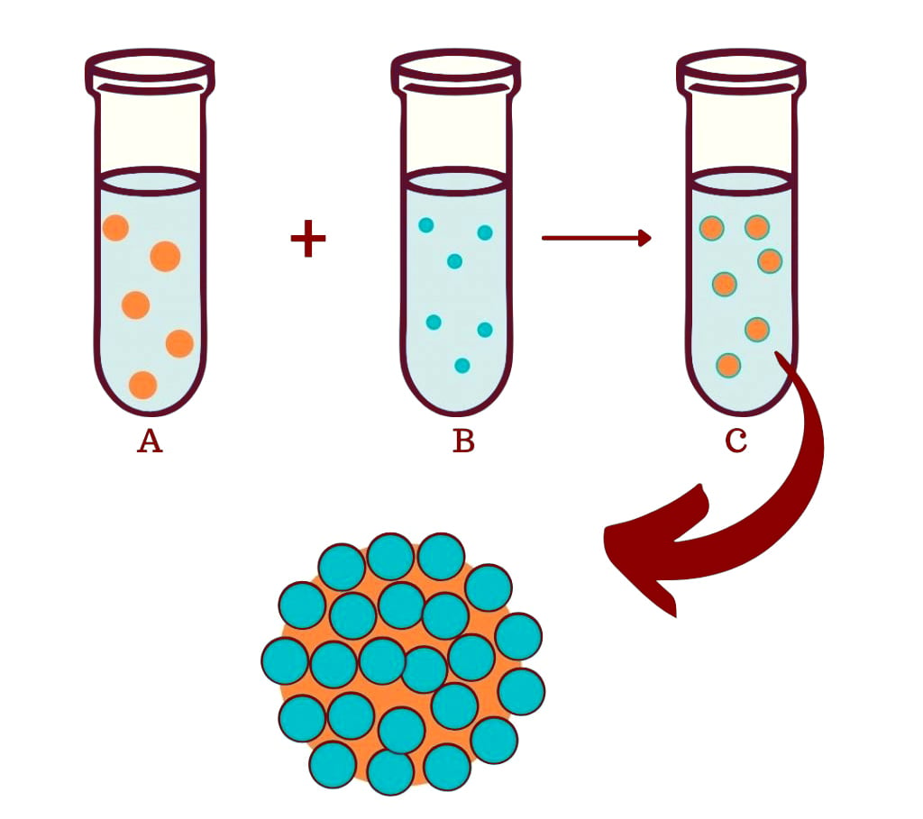 A.Positively charged colloid B. Negatively charged colloid C. Colloidosome formed