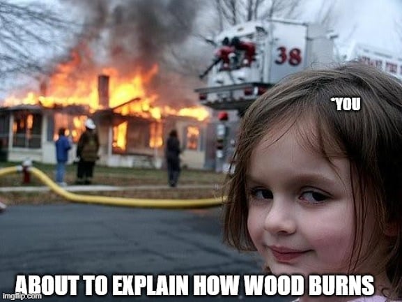 ABOUT TO EXPLAIN HOW WOOD BURNS meme