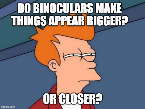 Do Binoculars make things appear bigger meme