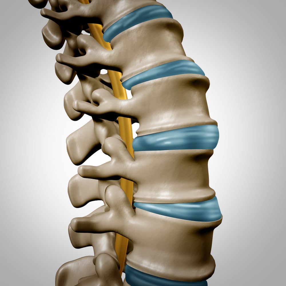 Human,Spine,Anatomy,Section,And,Spinal,Concept,As,Medical,Health