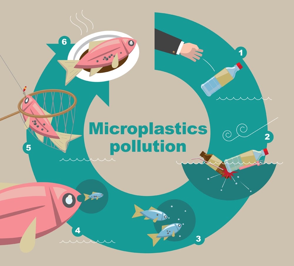 Diagrama ilustrativo de como os microplásticos poluem o meio ambiente