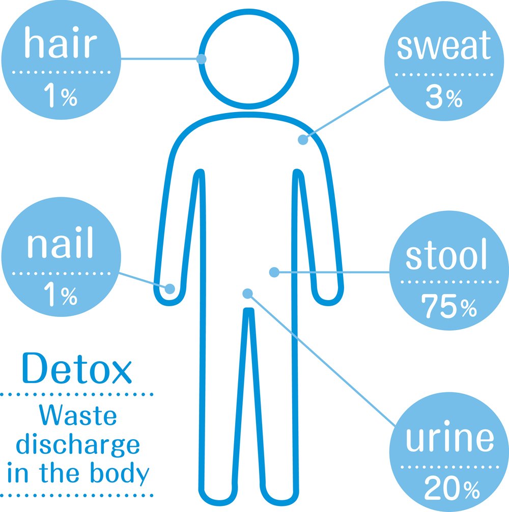 O teor de umidade no corpo (Detox)