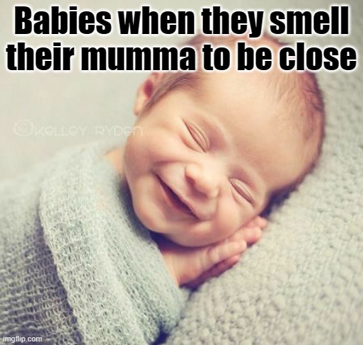 babies when the smell