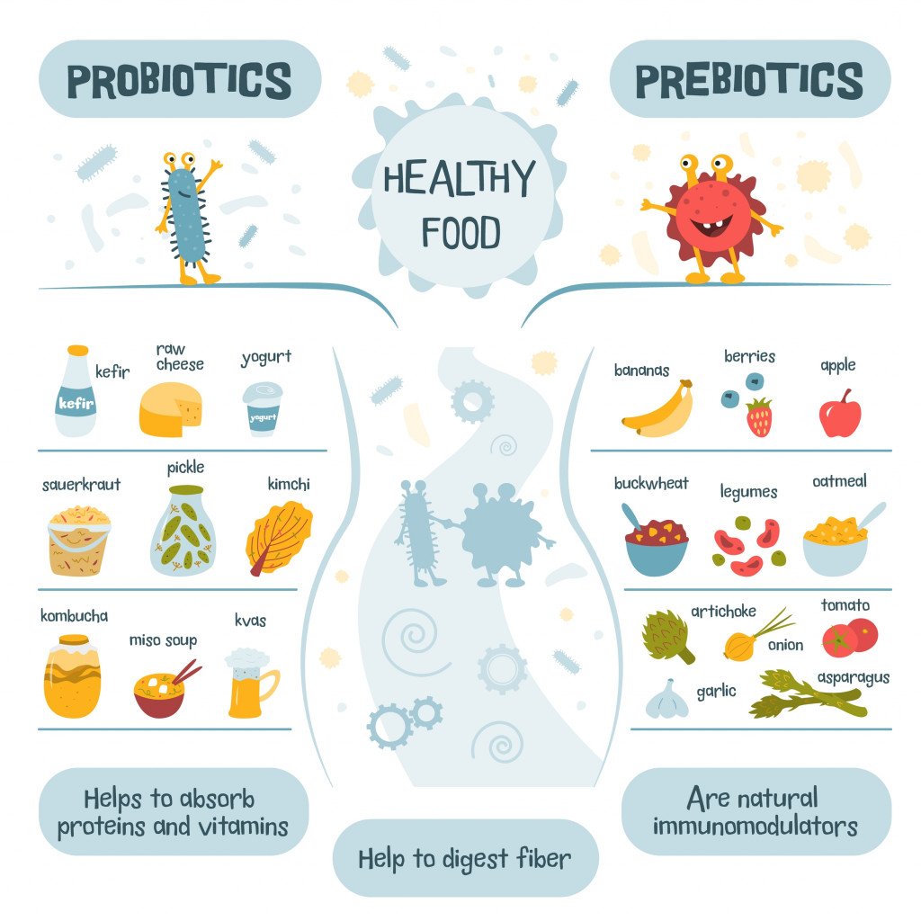 infographic-about-probiotics-prebiotics-cartoon-style