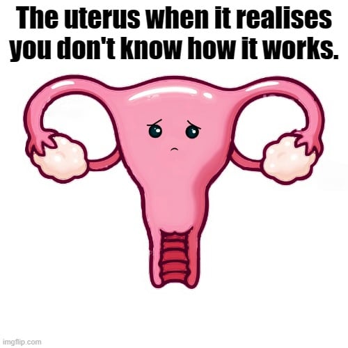 The uterus when it realises you don't know how it works meme