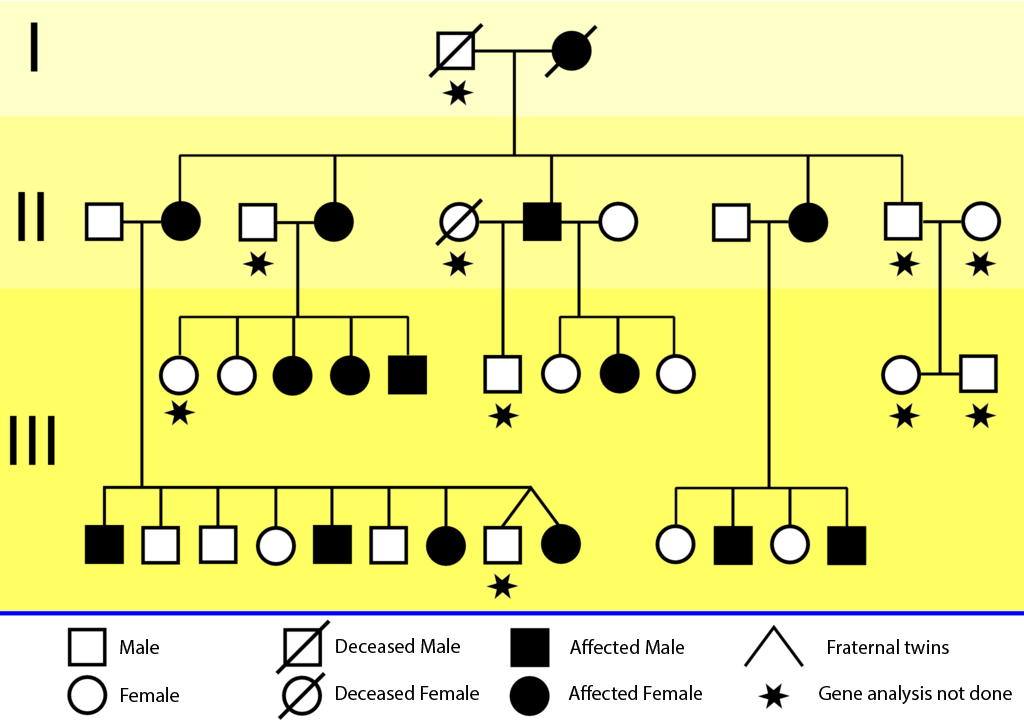 KE-Family pedigree