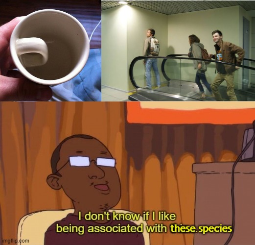 these species meme