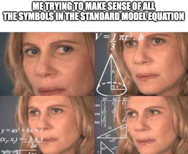 me trying to make sense meme