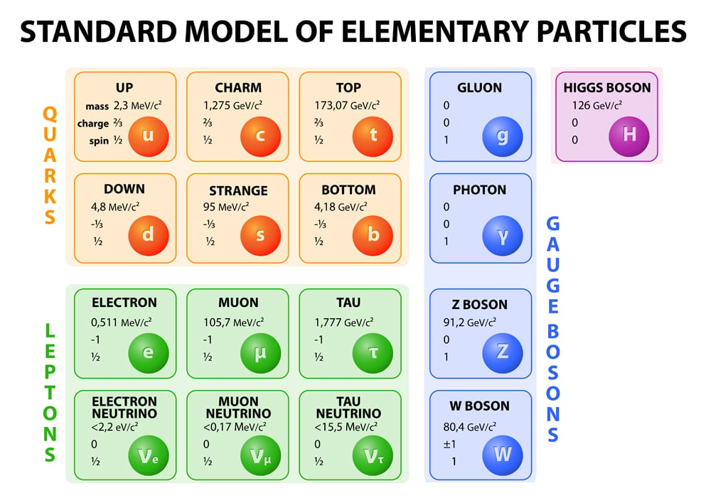 Diagram of the Standard Model of particle physics. 12 fundamental particles that make up matter and 4 fundamental force carriers. Vector.