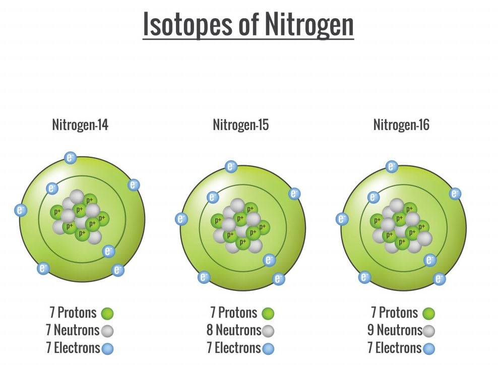 Isotopes of Nitrogen. All atoms are made up of protons, neutrons, and electrons. Diagram structure of the atoms include nitrogen 14, nitrogen 15, and nitrogen 16.