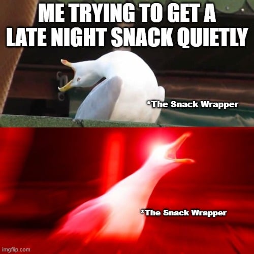 ME TRYING TO GET A LATE NIGHT SNACK QUIETLY meme