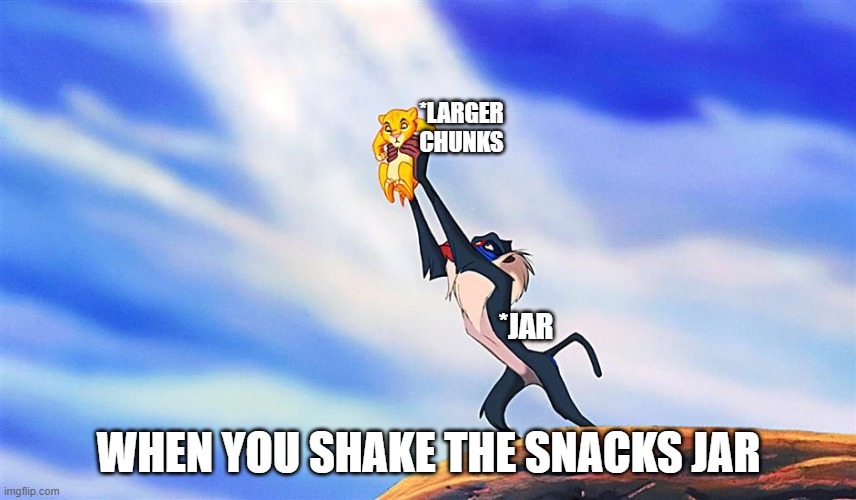 WHEN YOU SHAKE THE SNACKS JAR meme